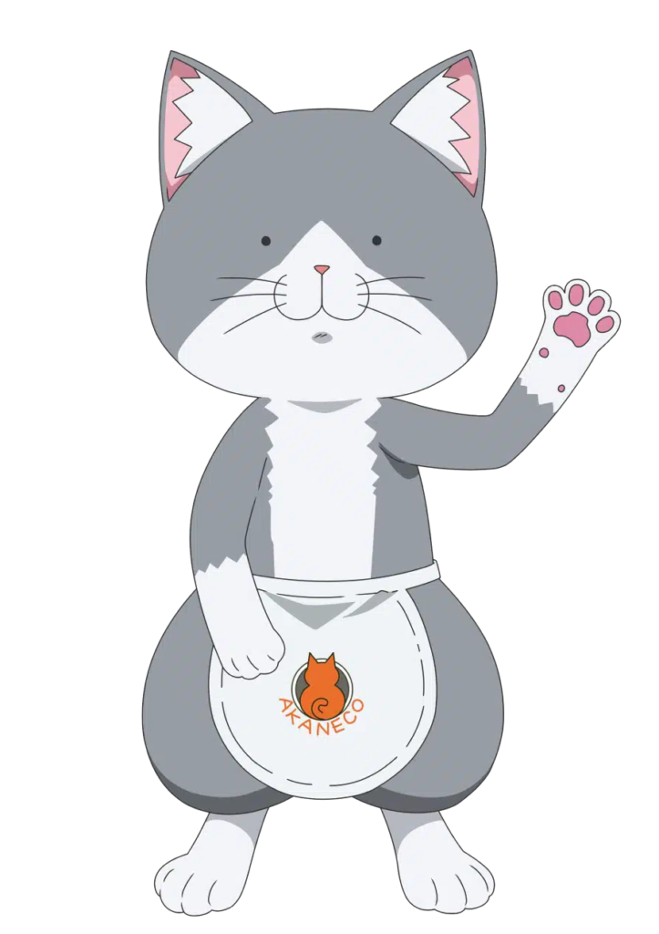 Mi opinión dummie de… Ramen Akaneko - Sasaki